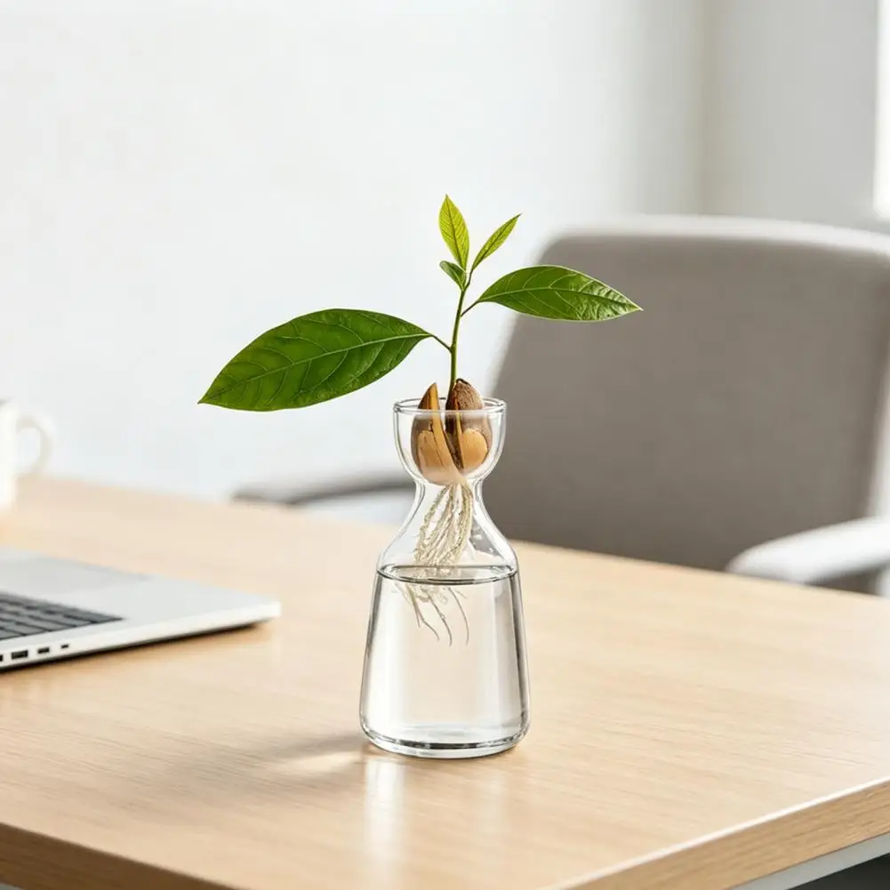 Plant Display Artistic Flower Vase Glass Hydroponic Vase for Plant Propagation Avocado Bulb Growing Container Artistic for Home