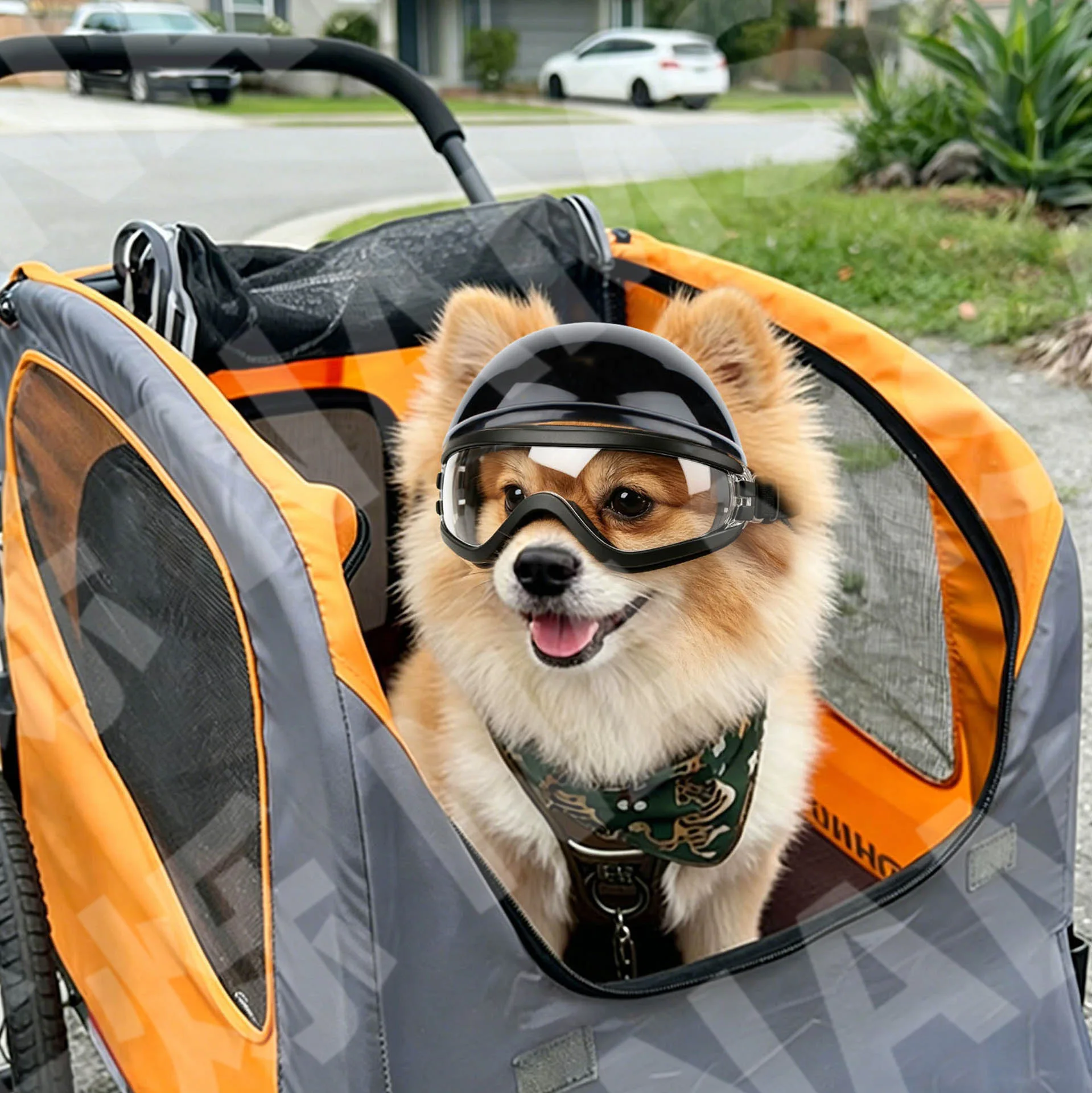 Набор: солнцезащитные очки и ш – обзор и цена Motorcycle Gear Dogs