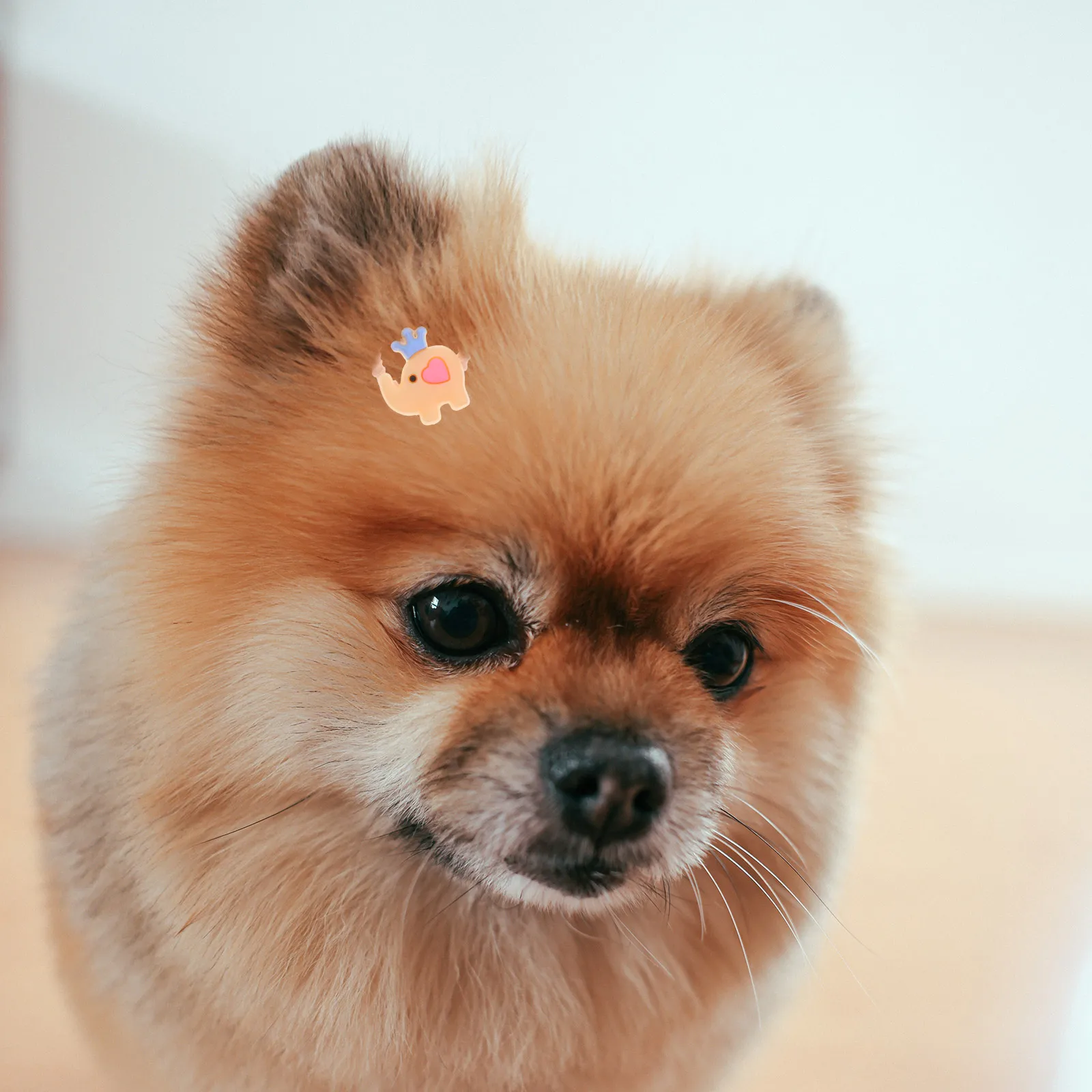 

10 Pcs Pet Accessories Hair Bands Cat Rubber Cute Ties Animal Elastic Abs Cartoon for Girls Child Dog