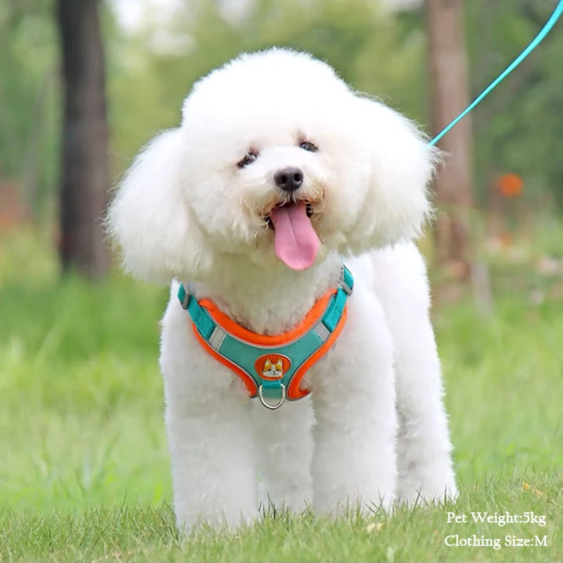 Pet Suede Chest Harness Vest Dog Strap Reflective Leash Retractable For Small Light And Convenientn image 2