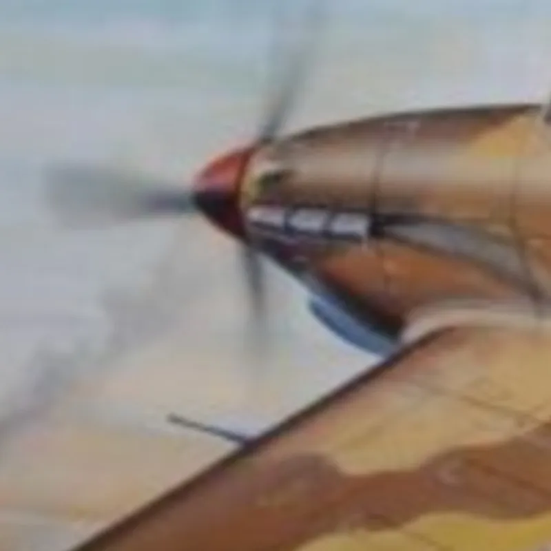 

Модель самолета-истребителя Trumpeter 02417 British Hurricane 1/24 Mk.II D-Trop TH06668