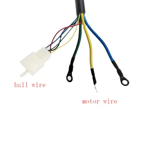 My1020 Pinselmotor des CC -Motors 10 Hauptverkaufsmotor Elektrofahrrad 60 V - №8