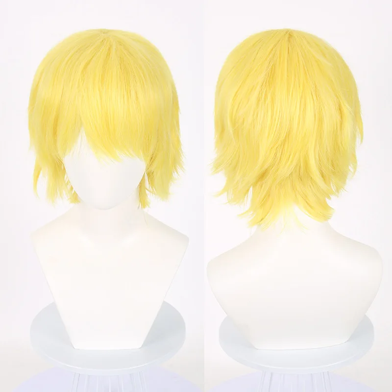 30 cm Universal-Cosplay-Perücke, Anti-Locken, gesichtsreduzierend, mehrfarbige Optionen, kurzes Hochtemperatur-Seidenhaar mit einem zerzausten Oberteil