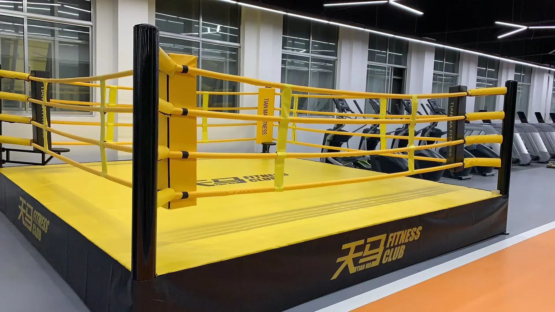 Factory Directly Cage Mma  Octagon Cage Professional UFC Standard Competition Boxing MMA Cage