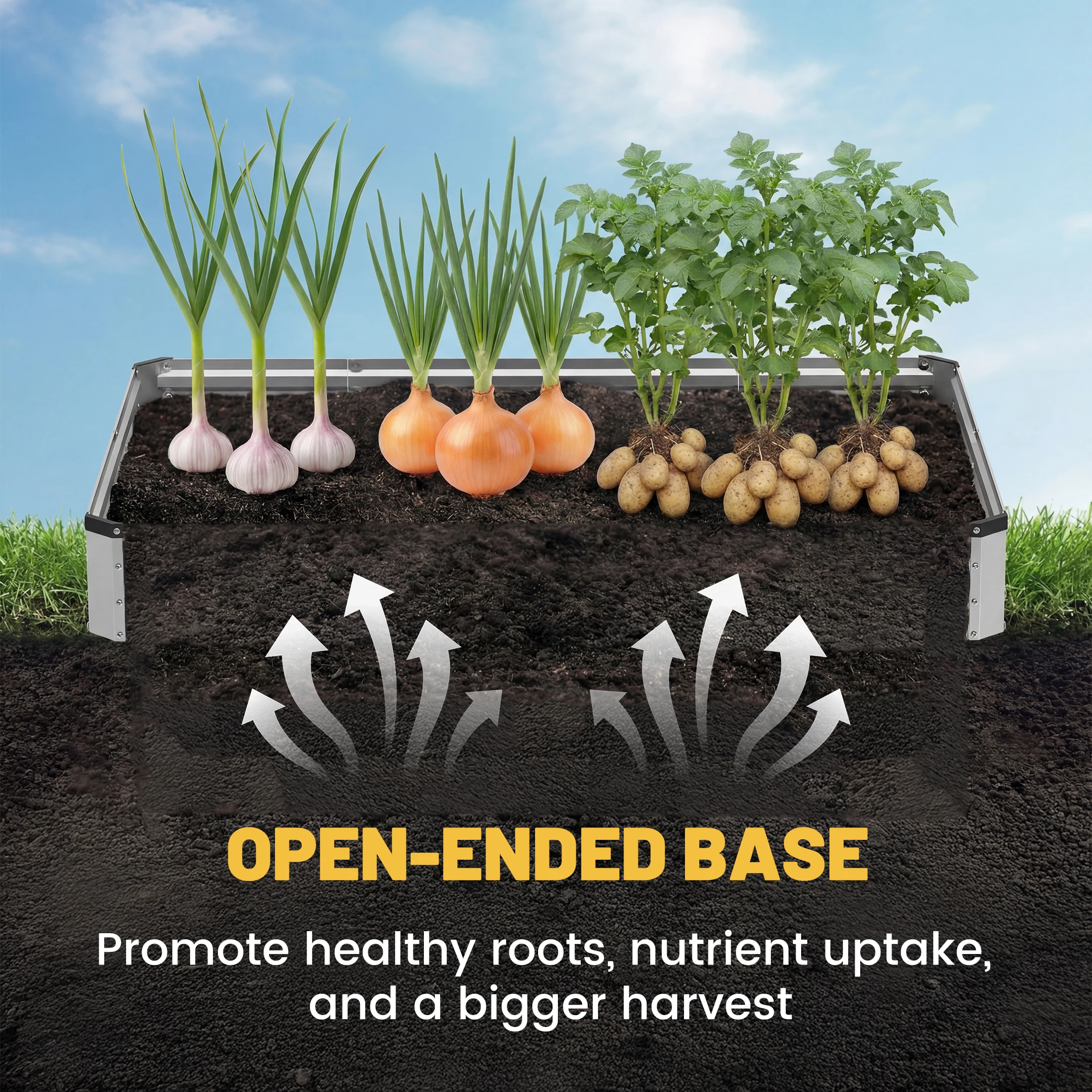 multiple garden beds