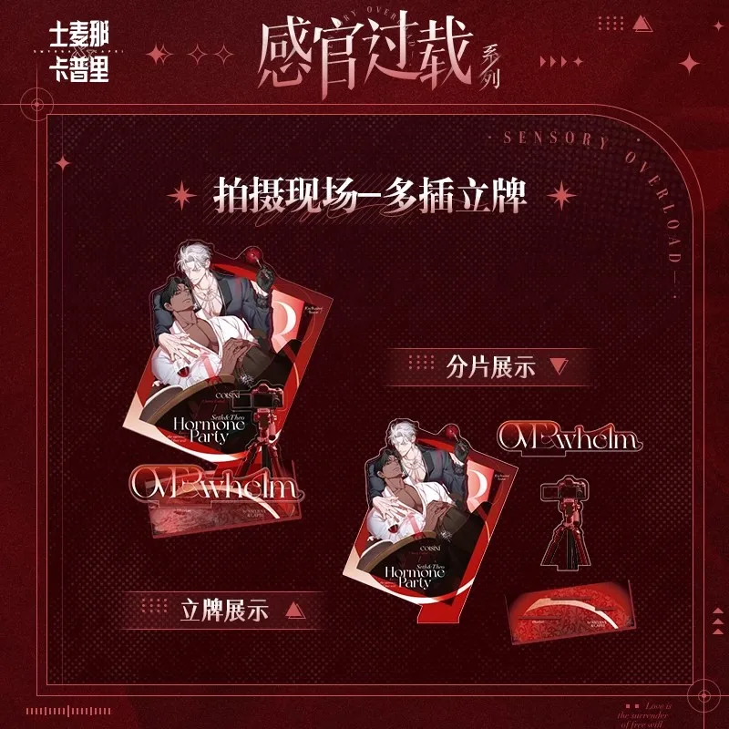 Smyrna and Capri 'Sensory Overload' Official Merch - شارة لوح فني بحامل أكريليك وهدية لمحبي بطاقات الصور الفوتوغرافية