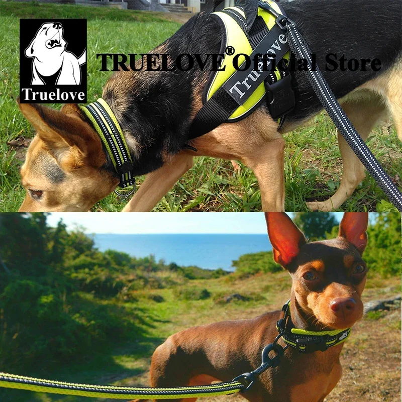 Truelove-Collar de nailon para perro, correa ajustable, acolchado, reflectante, suave, duradero, entrenamiento de alta resistencia, personalizado,