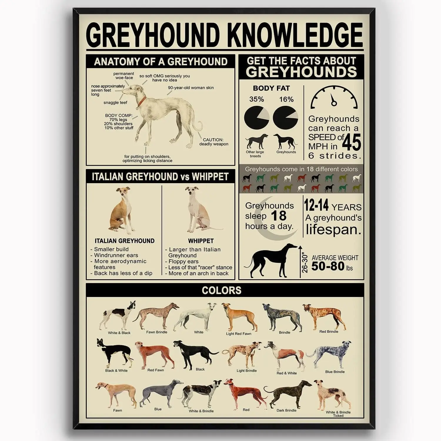 Youpinnong Greyhound Knowledge Metal Signs Vintage Greyhound Overview Infographic Retro Poster Home Kennel Pet Store Wall A sign