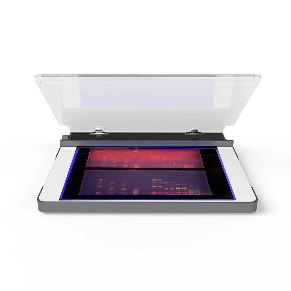 LED UV transilluminators view DNA or RNA  electrophoresis agarose gel