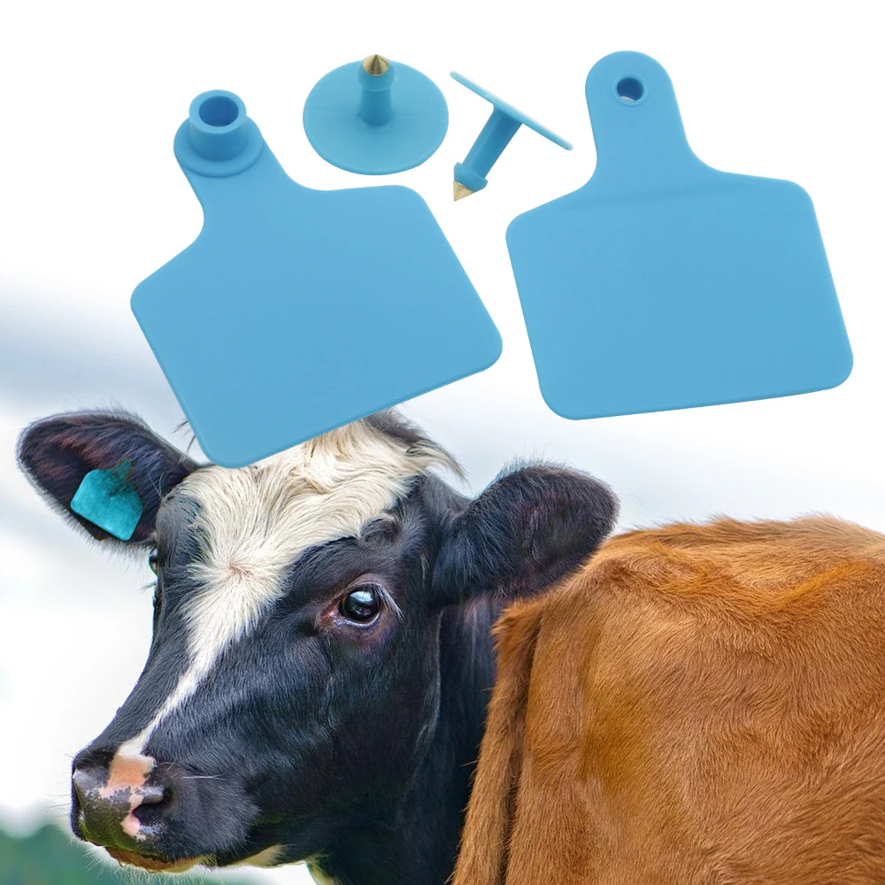 100pcs Thickened TPU Letterless Cow Ear Label Animal Recognition And Breeding Equipment, Sheep, Pig, Ear Label Farm Equipment