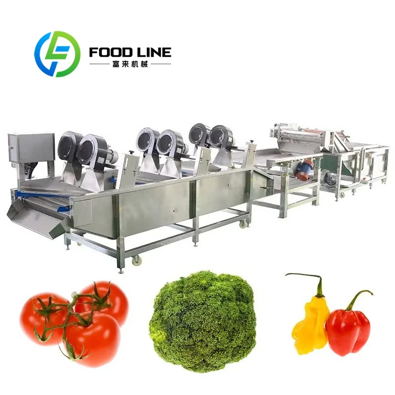 Bubble Vegetable Washer Stainless Tank Structure Reduces Vegetable Damage While Completing Mass Raw Material Washing Procedures