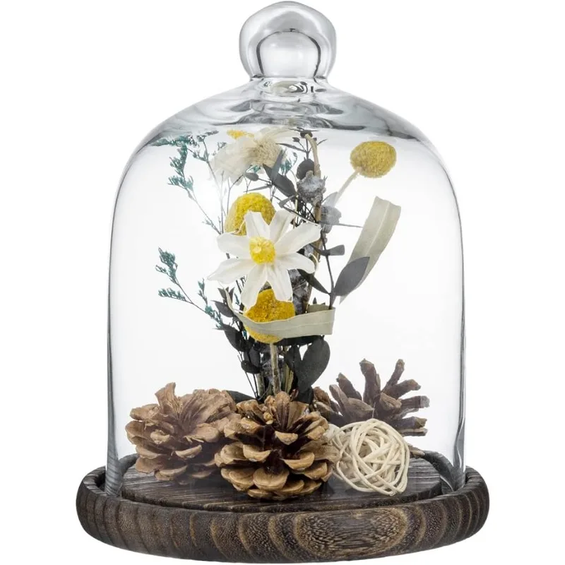 1pack Clear Cloche Glass Dome,6.3In(16cm) H,W 13cm Display Bell Jar with Top Handle and Rustic Brown Solid Wood Base&other base