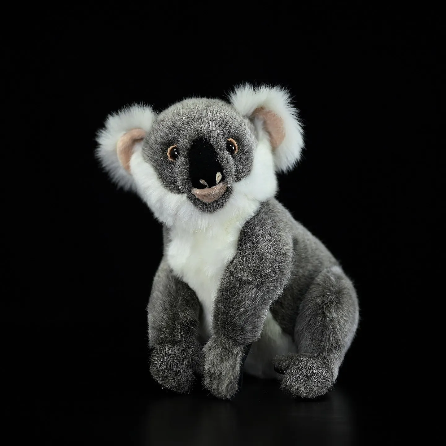 Phascolarctos Cinereus, Koala , 24cm, Realistic Australian Koala Cute Wallaby Stuff