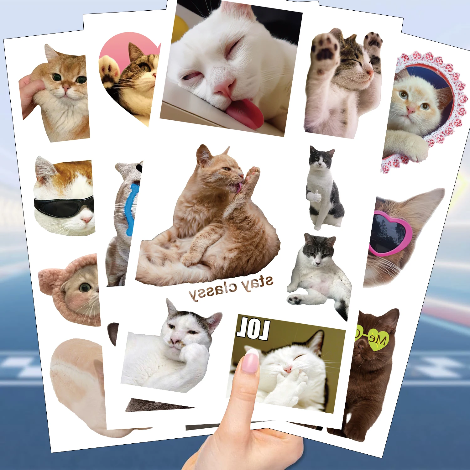 10Pcs Cartoon Cats MEME Temporary Tattoo Sticker Waterproof Kids DIY Cartoon Cute Animals Children Fake Tattoo Stickers