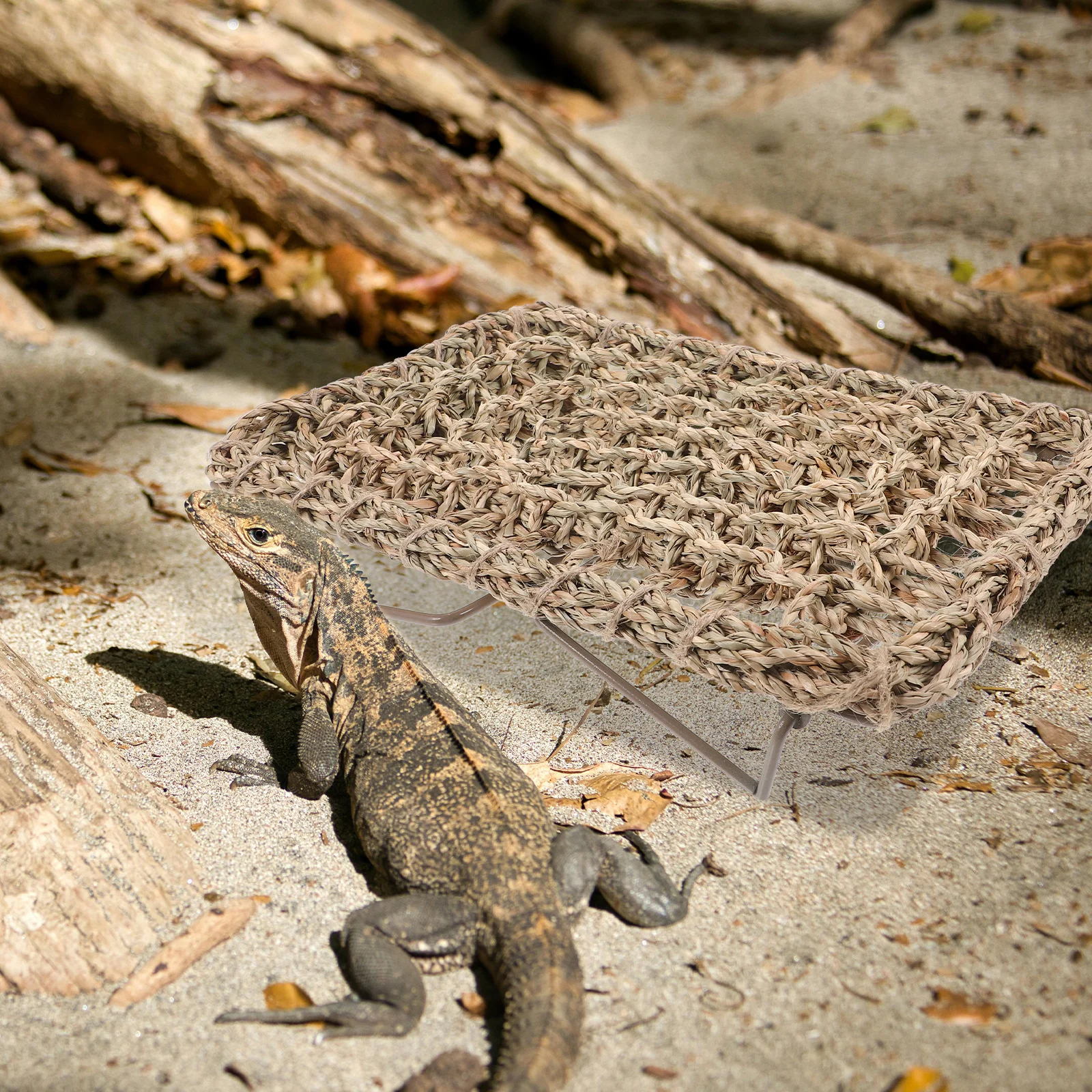 

Reptile Lounger Bed Lizard Hammock Bearded Dragon Woven Straw Sleeping Pet Accessory Iron Frame Mesh For Reptile Sleeping Lizard