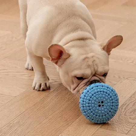 

Interactive Plastic Teeth Cleaning Dog Chew Toys Cute Squeak Playing Bite-Resistant Silicone Elasticity Pet Food Leaking Toy
