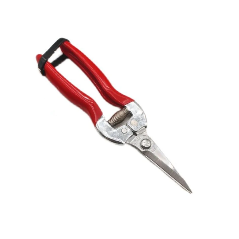 Picking Scissors Stainless Steel Thin Fruit Scissors Grape Pitaya Picker Succulent Flower Scissors