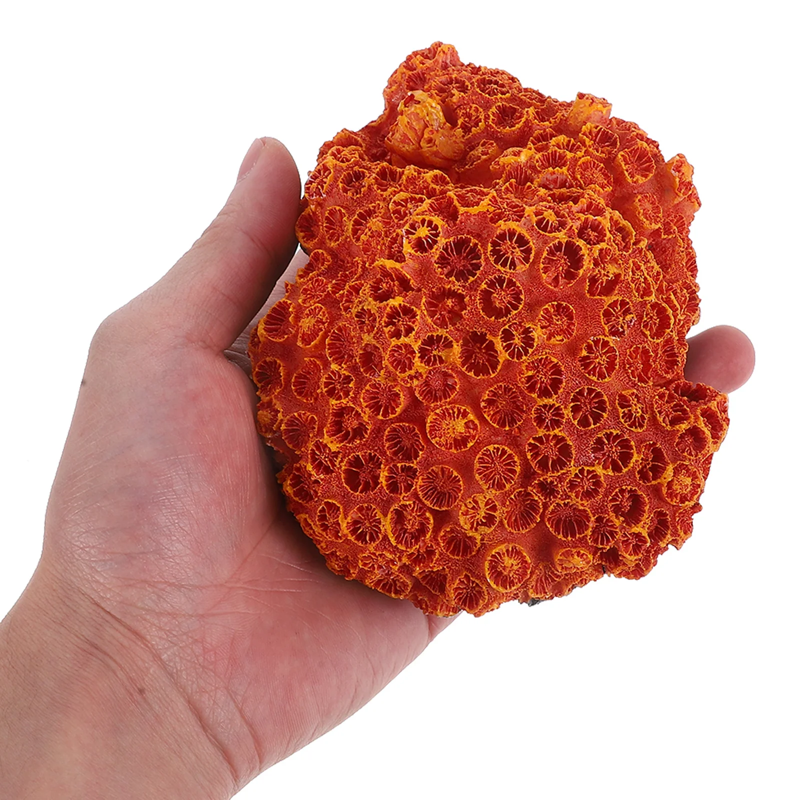 

Fish Tank Coral Reef Resin Ornaments Aquarium Decoration Simulated Craft Safe for Fresh Salt Water Aquarium Coral Reef