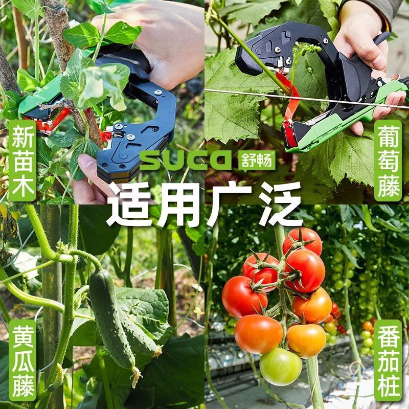 New grape tying machine tomato cucumber tying machine