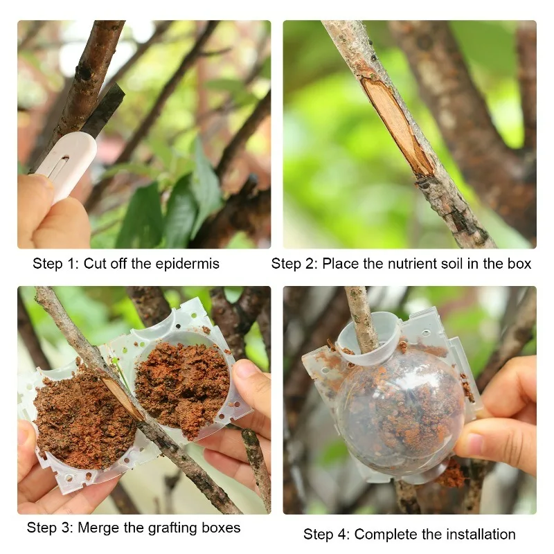 5/30 قطعة ارتفاع ضغط انتشار الجذر تزايد صندوق النبات تأصيل الكرة حديقة قابلة لإعادة الاستخدام قطع تطعيم الكرة معدات تربية