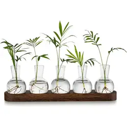Plant Propagation Station With Wooden Stand Hydroponic Vintage Plant Terrarium Planter Water Planting Stations Home Decoration