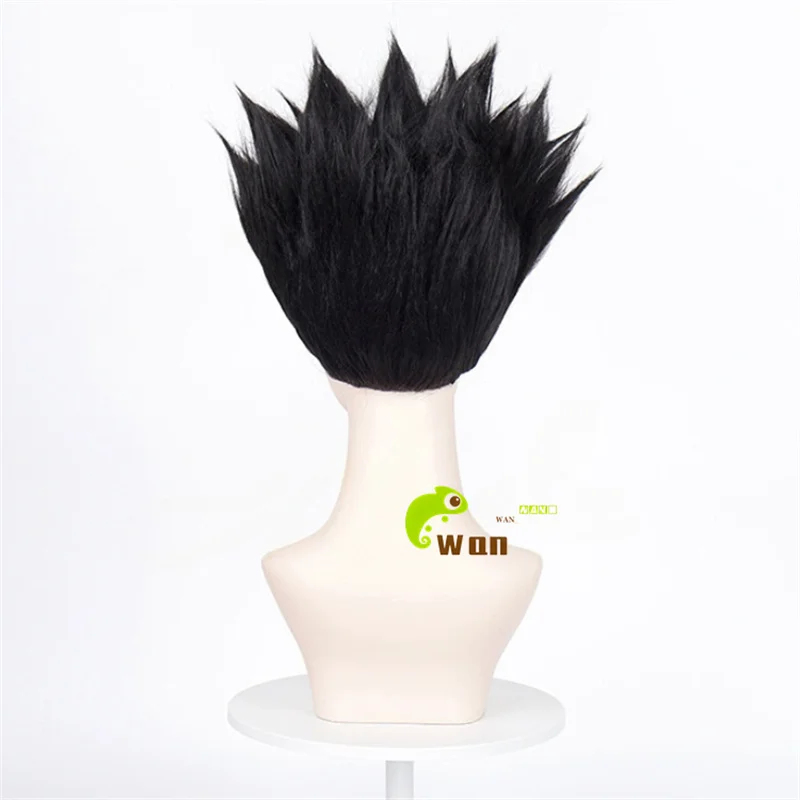 Parrucca cosplay Anime Leorio PaladiKnight nera 30 cm parrucche corte Leorio capelli sintetici resistenti al calore Halloween + cappuccio parrucca gratuito