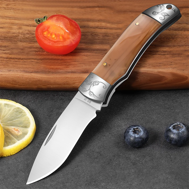 1pc Home Fruit Water Folding Knife, Portable Multi-Use Pocket Knife Barbecue Knife Sharp Stainless Steel Knife