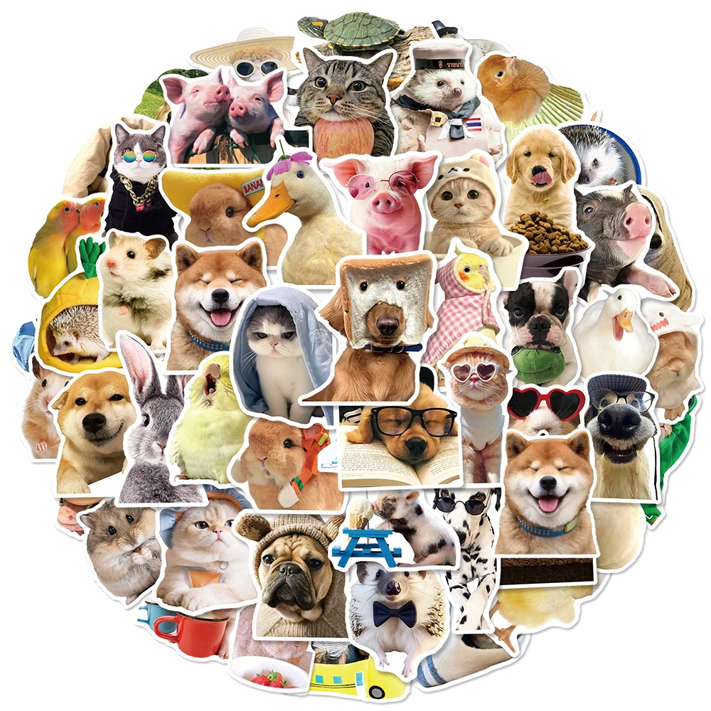 10/30/50pcs Funny Cute Animal Meme Stickers Kawaii Cat Dog Rabbit Cartoon Decals Scrapbooking Luggage Phone Sticker Decoration