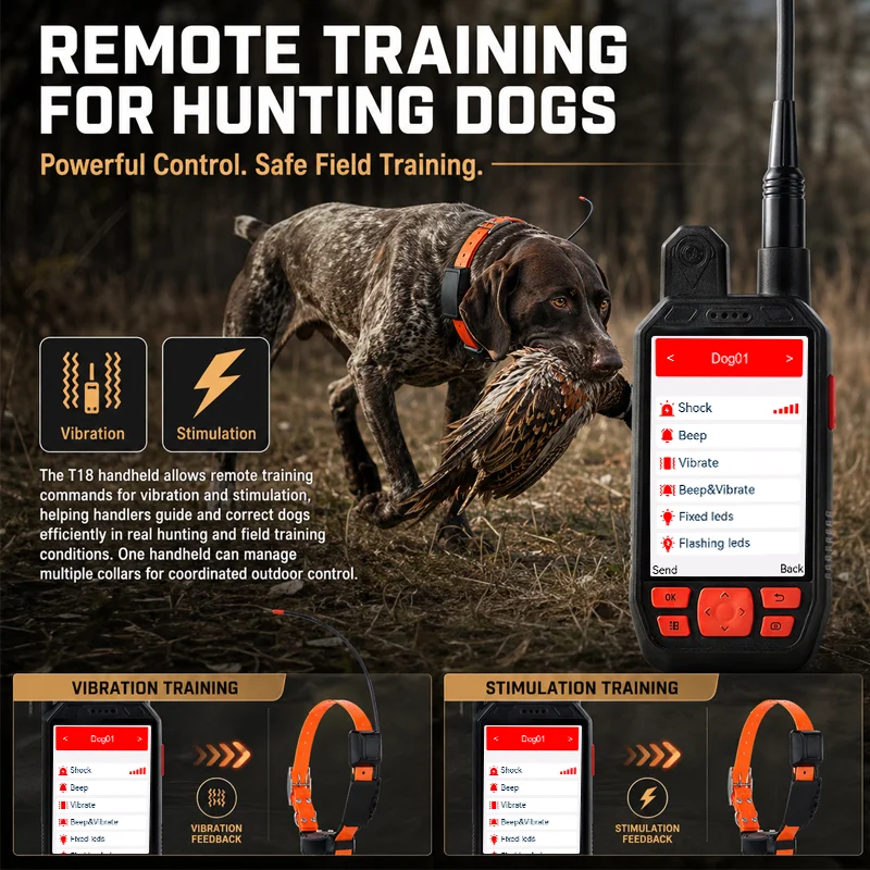 Sistema de Collar de Rastreo G - Dog Gps Tracker Collar 4G Waterproof reseña y precio