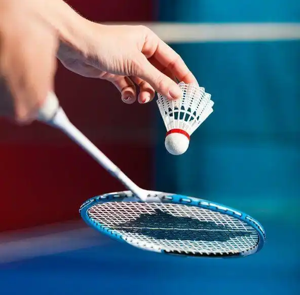 

Colour Professional Training Carbon Fiber Badminton Racket for Hard Graphite Sport Rackets
