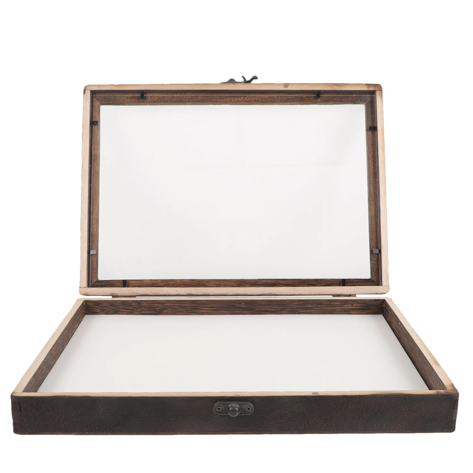 

Storage Insect Display Box Child Case Preservation Acrylic Collector Entomology
