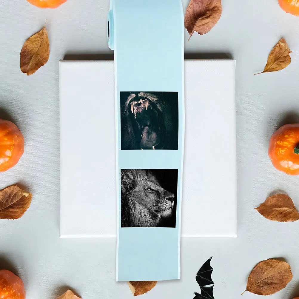 

4pcs 4 Rolls Thermal Labels Self Adhesive Clear Printing For Mini Thermal Printer Sticker Paper Roll Name Tags Folder Labeling