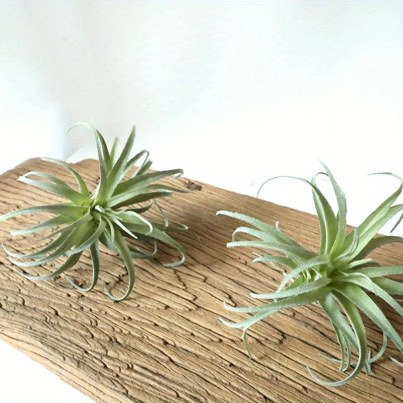 1pc Simulated Air Grass Bromeliad Leaves Air Grass Simulation Flocking Desktop Succulent Potted Plants Plant Wall Decor Grass