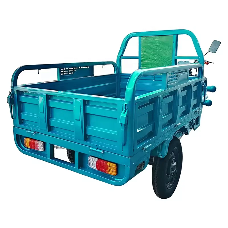Factory Direct Sale China Hot Sell Cheap Electric Tricycle 3 Wheeled Electric Tricycle with Cargo Tricycle