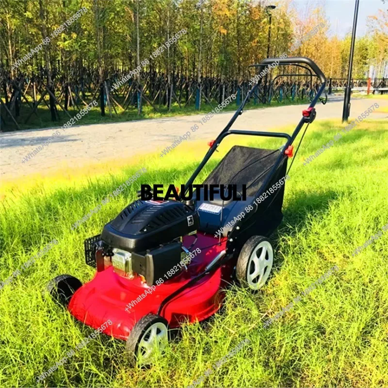 

Высококачественная электрическая газонокосилка, 173 куб.см, для газона и сада, промышленное/ичество своими руками, электрическое и газовое.