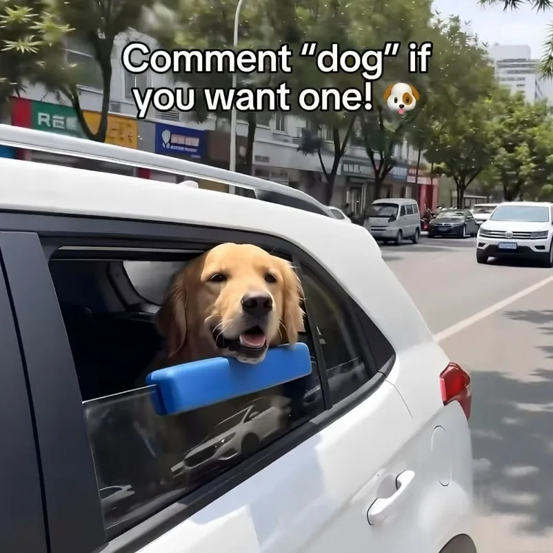 Pet Window Chin Support Protection Anti-bumping Waterproof Easy To Clean Self-driving Pet Window Sponge Pad
