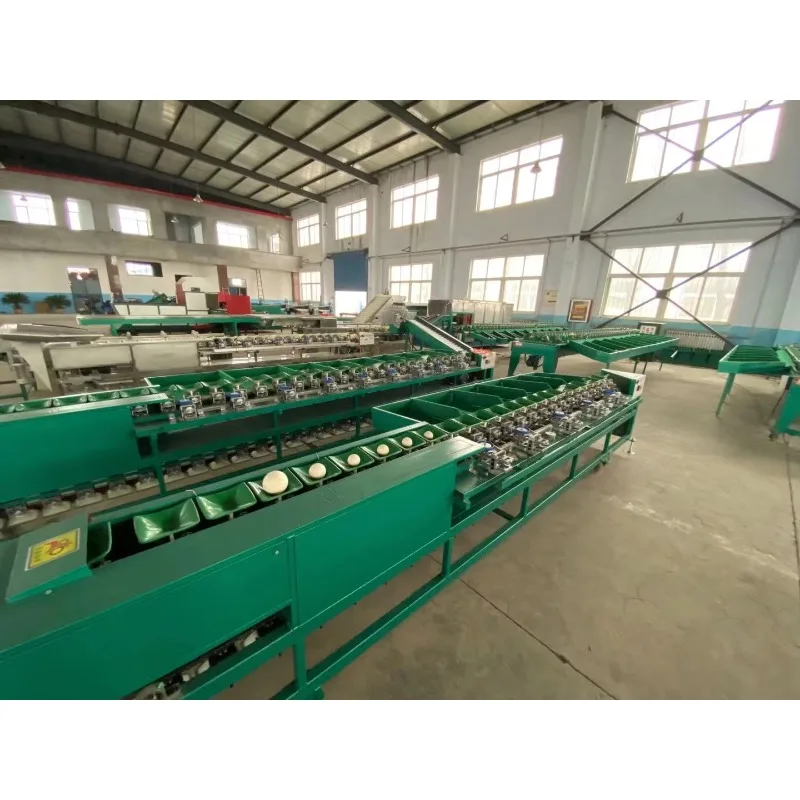 Commercial Fruit Weight Sorting Machine Conveyor Type Fruit Weight Grading Separator Machine For Kiwi Apple Pear Sorting Custom