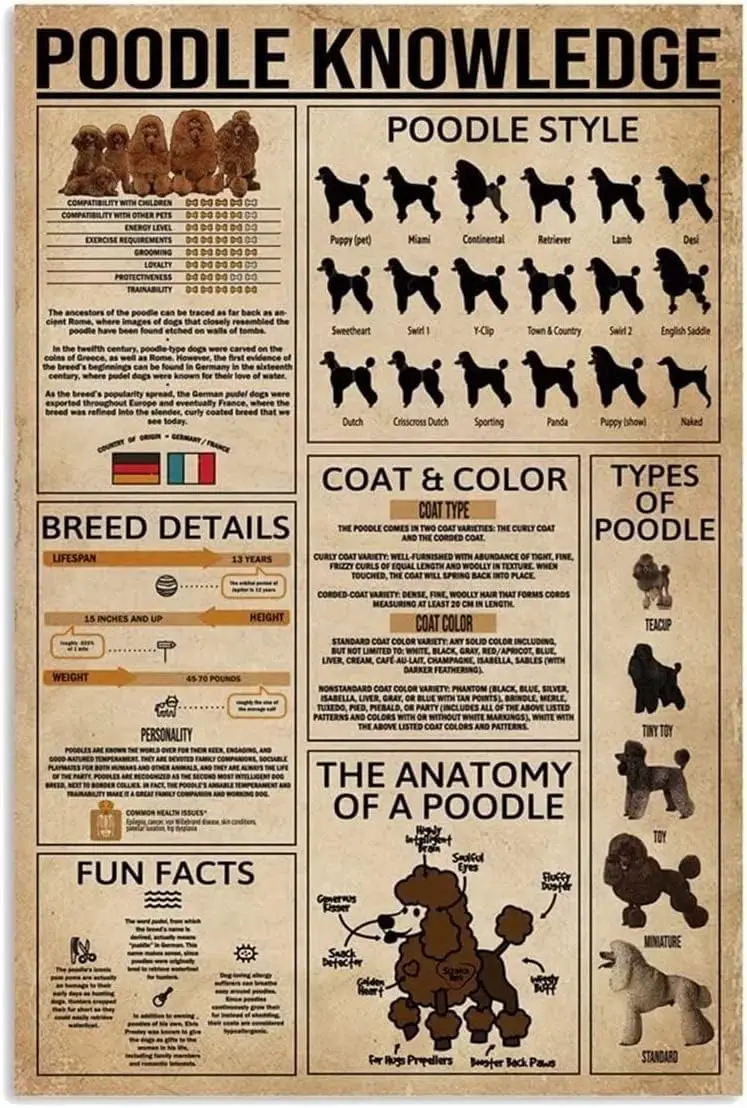 Panneau en métal décoratif Poodle Dog Knowledge, impression style Poodle, pour chambre, salle de bain, école, magasin, salon, cuisine, maison, art mural