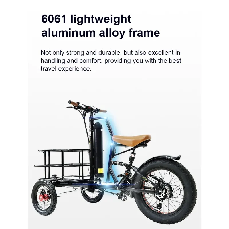 250w 350w 500w 750w Electric Bike with Basket New Design 3 Wheel Electric Bicycle 48V Three Wheels Adult Cargo