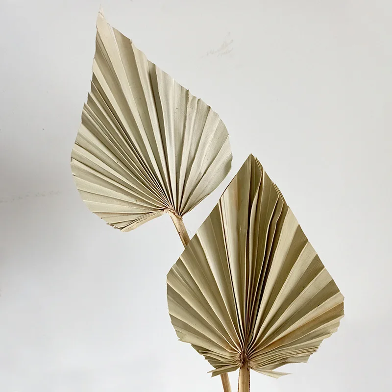 Palm Fan Leaf Dried Flower Mini Palm Leaves In Different Shapes Pampas Grasses Branches DIY Wedding Decorations Home Decor