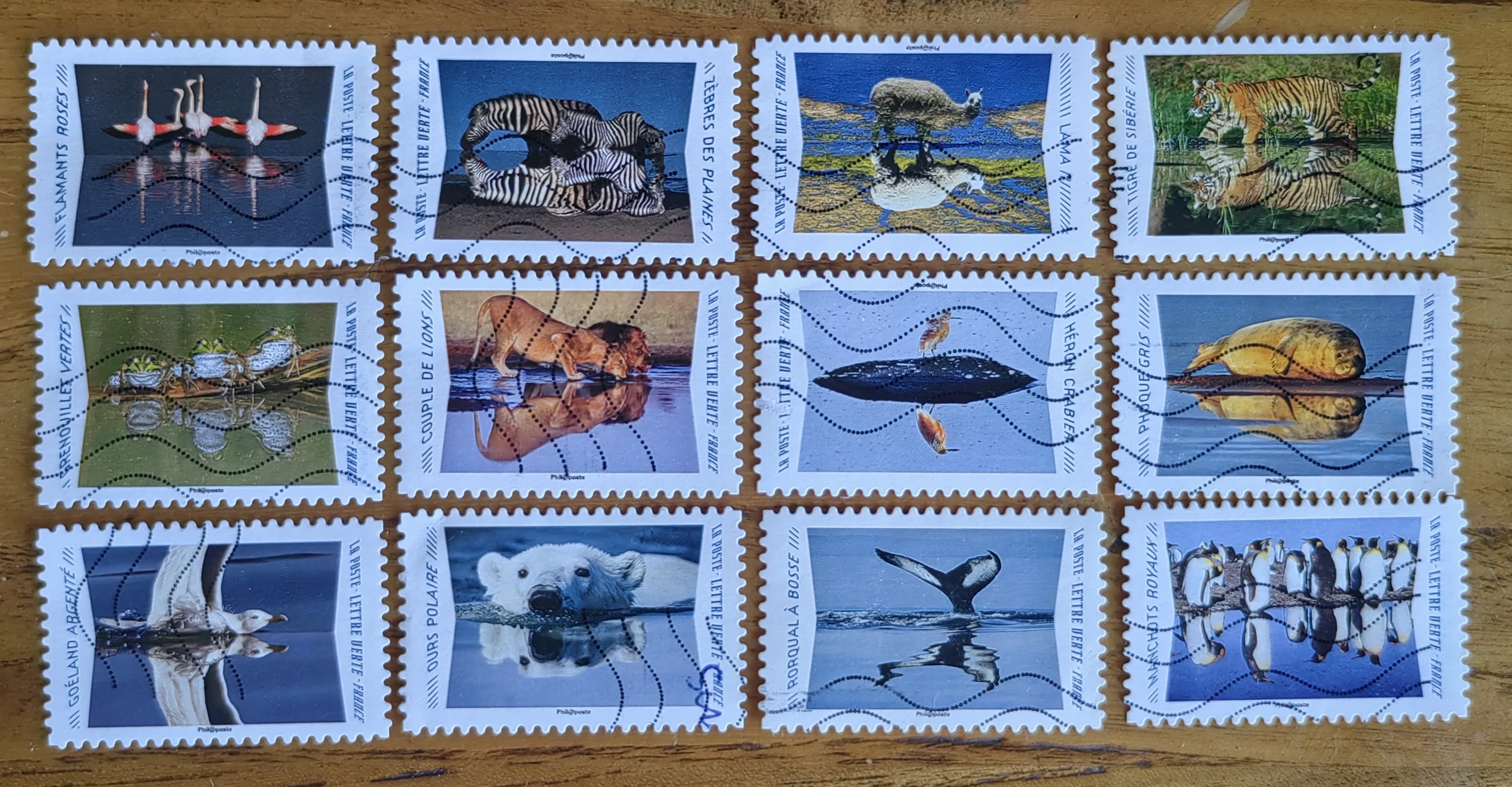 

Французские почтовые марки, год 2020, животные в воде, настоящие б/у, 12 марки, коллекционные почтовые марки, материал для скрапбукинга