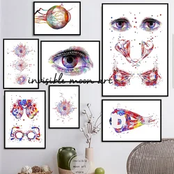 Human Eye Anatomy The Optic Chiasm Optometry Tool Eye Charts Medical Arts Poster Canvas Painting Wall Prints Pictures Home Decor