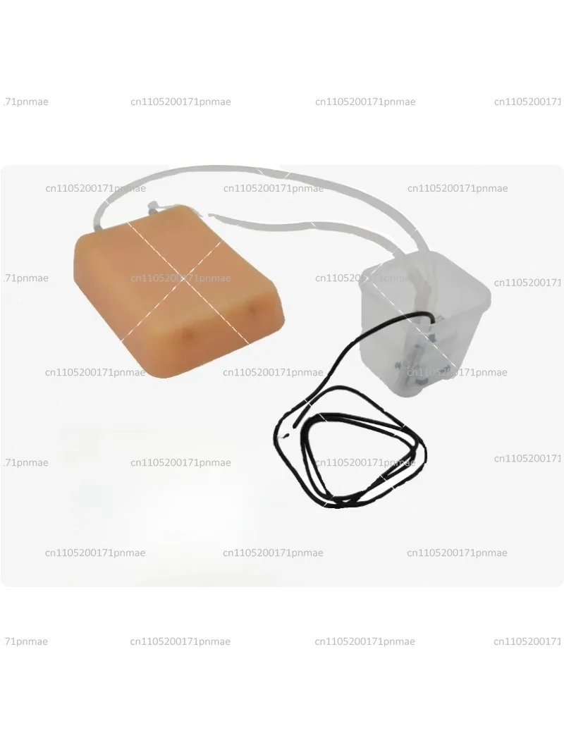 Training Model for Vascular Puncture with Simulated Blood Circulation & Color Doppler