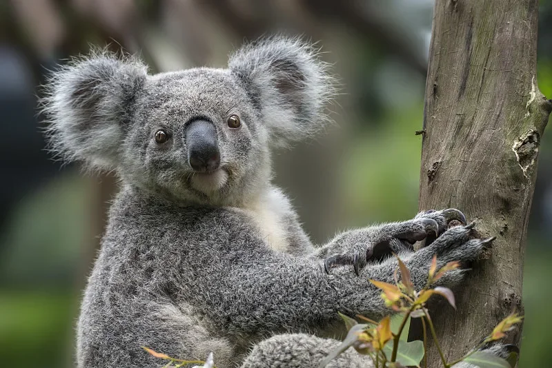 

JHEMCU GF30F722-ICM F722 Flight Controller - Barometer, OSD, 5V/10V Dual BEC, 3-8S Input, 30.5x30.5mm for FPV Freestyle Drones