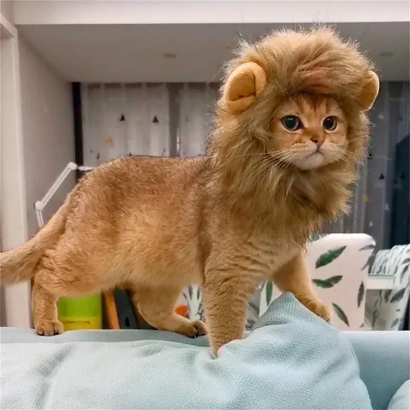 Lion Costume For Cat Lion Costume For Dog Cat Costume Lion Thick Hair Mane For Cats And Dogs Party Photograph Entertainment