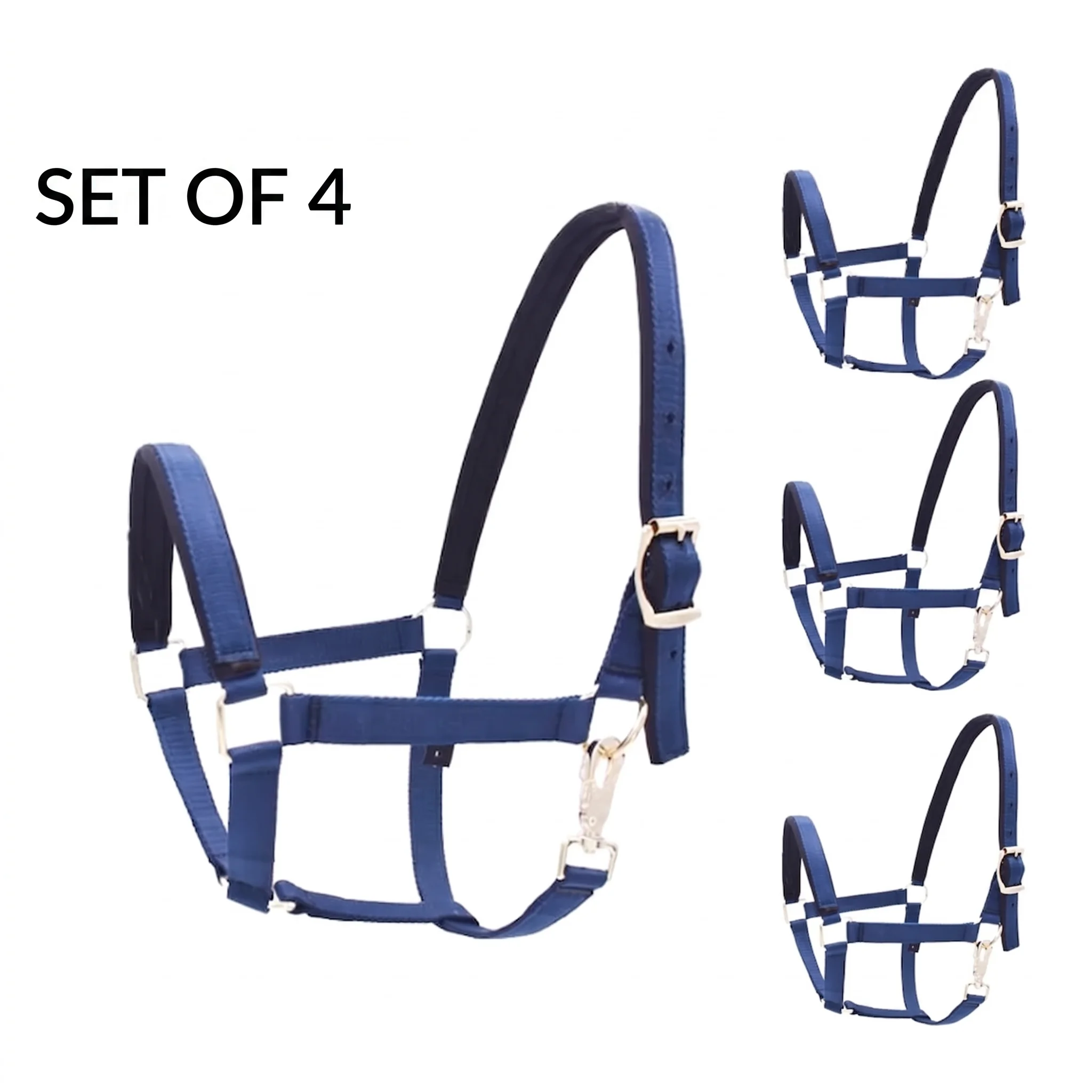 halter-ecuestre-halter-nylon-caballos-textil-halter-azul-conjunto-de-halteres-de-cuatro-piezas