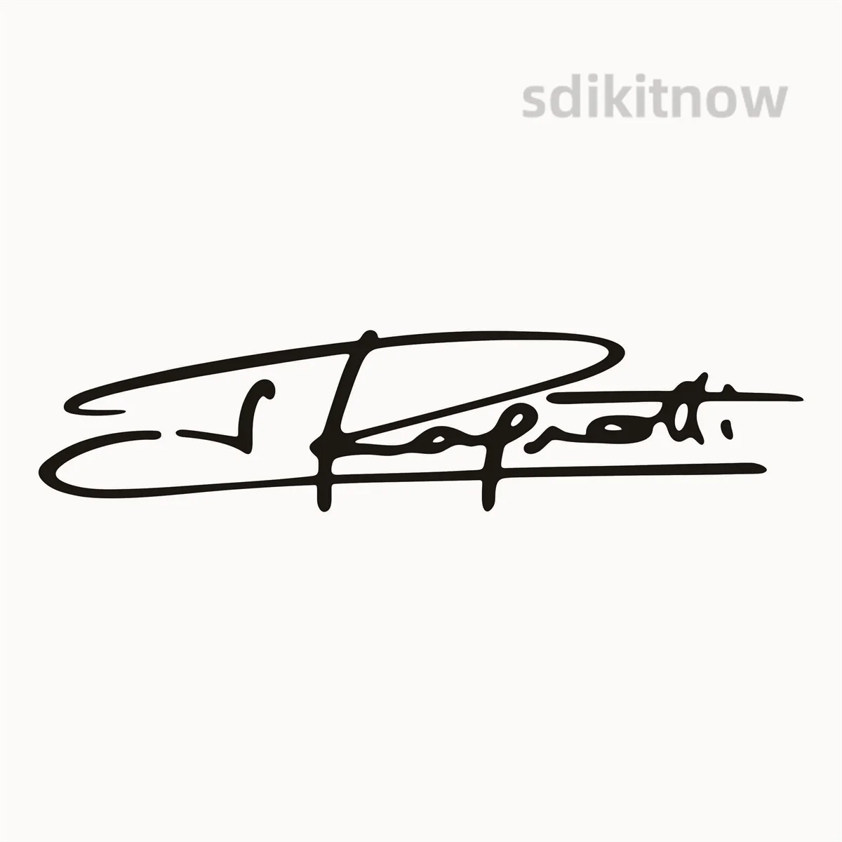 New Ragnotti Signature Sticker Car Window Door Waterproof Decal For Renault Clio Megane Duster Sandero Twingo Zoe Scenic