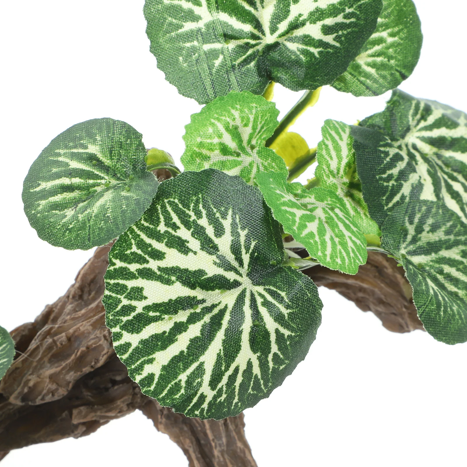 

Simulation Reptile Plant Rainforest Decoration Lifelike Aquarium Landscaping Plant Ornament Terrarium Fish Tank Supplies