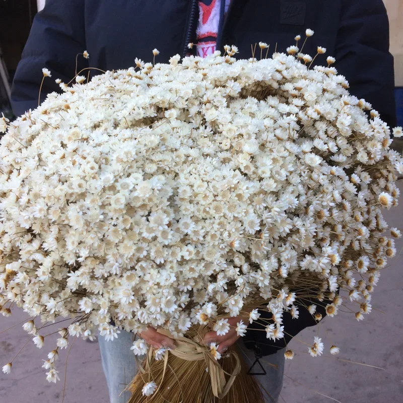 Little star flower raw material 1kg dried flower arrangement DIY material shooting props decorative flower