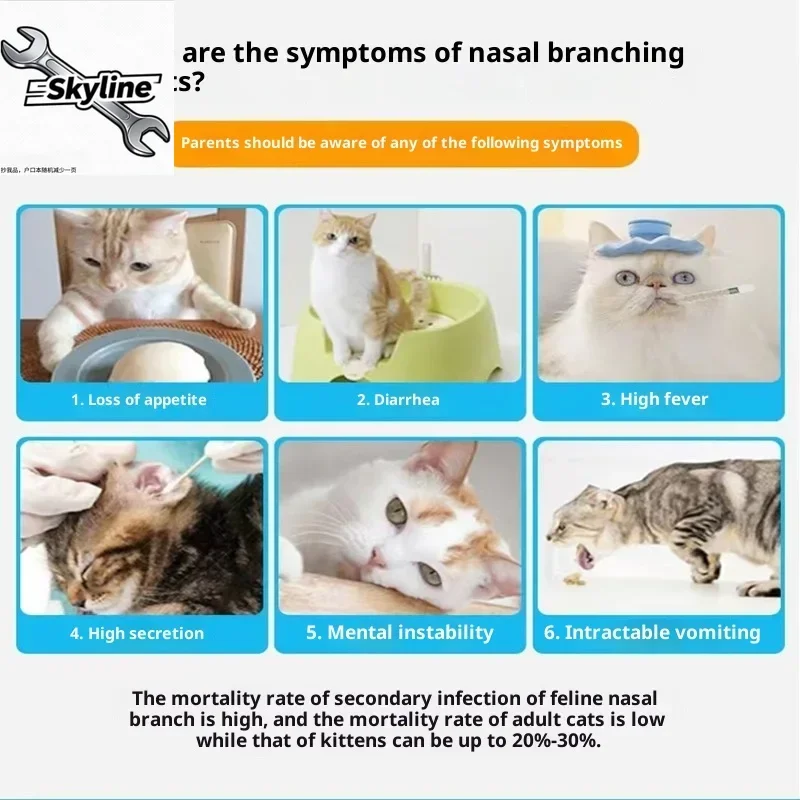 20 Pcs/box Cat Nasal Bronchitis FHV Herpes Virus Test Strip